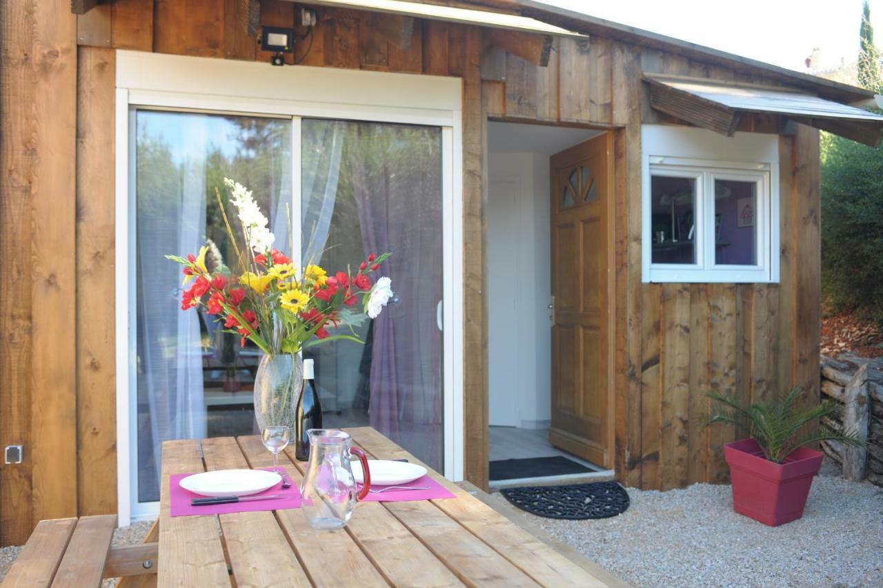 Dormir A Montauban Logements Carreyrat Calme Et Verdoyant Exterior photo
